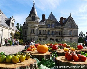 Chateau_de_la_Bourdaisiere